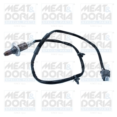 Oxygen Sensor